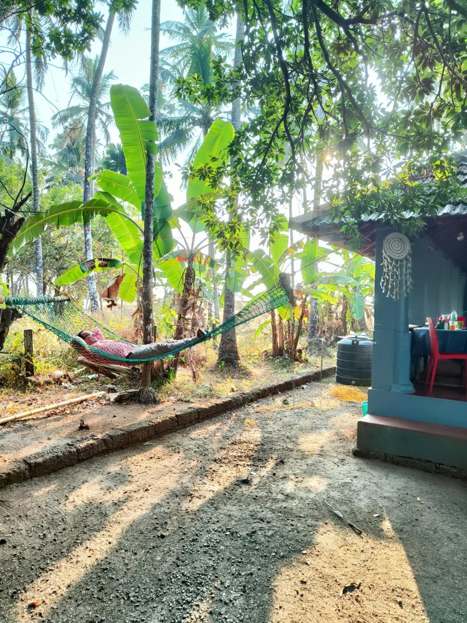カンヌール Perch Next Door Bed & Breakfast エクステリア 写真
